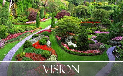 Vision